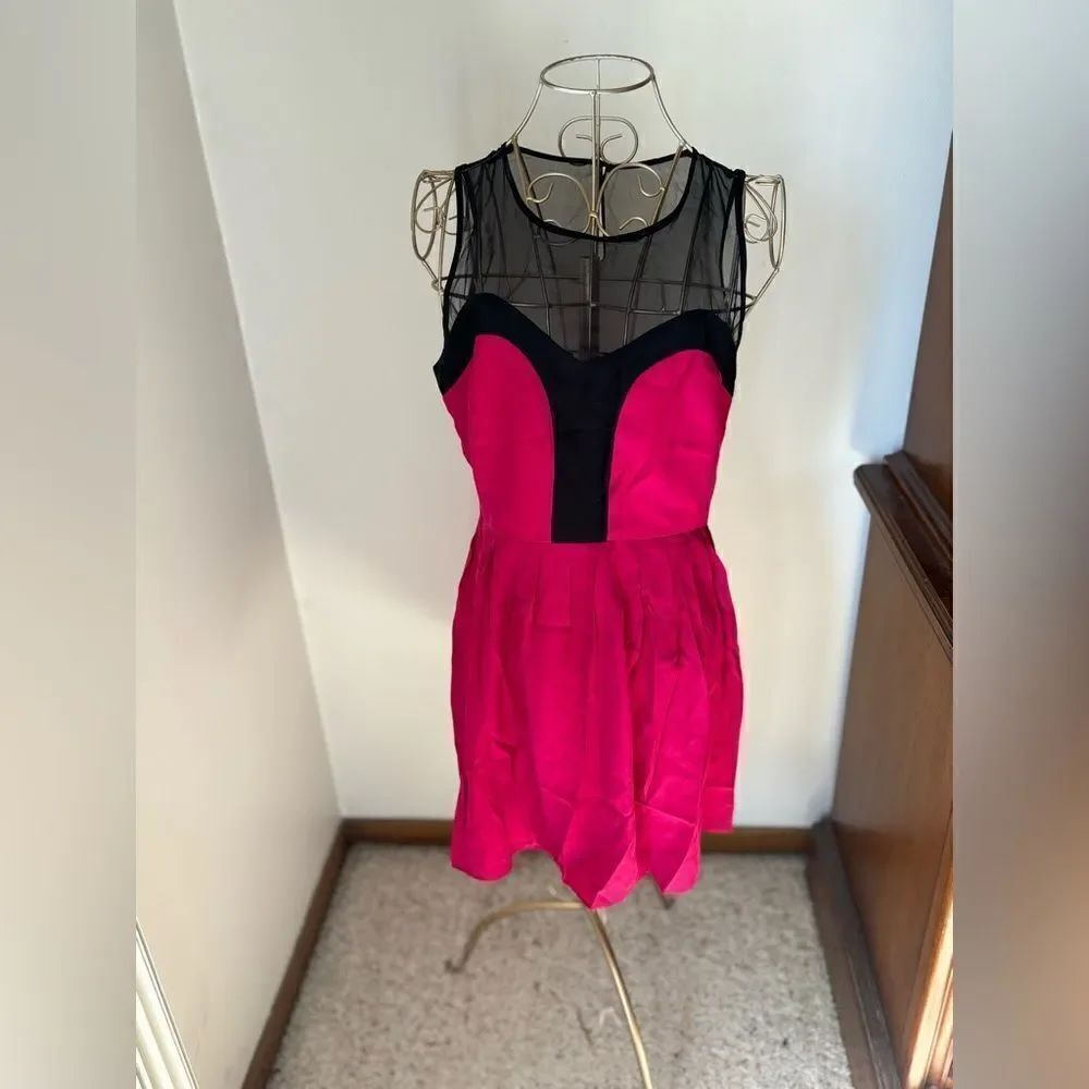 Parker Hot Pink and Black Mesh Cocktail Dress